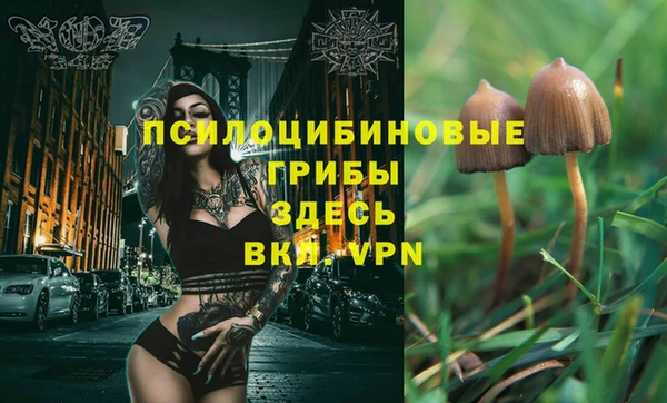 jwh Сосновоборск