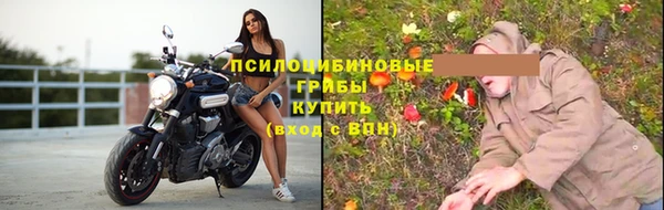 jwh Сосновоборск