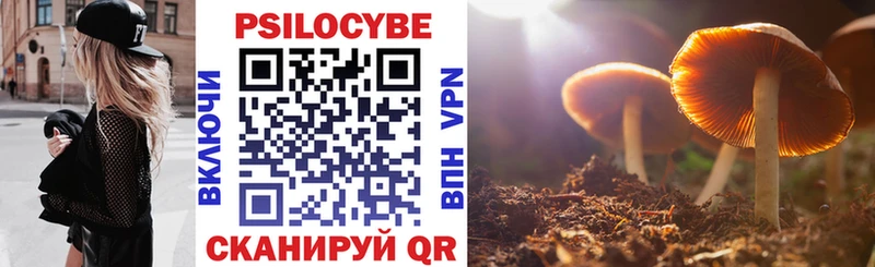 Псилоцибиновые грибы MAGIC MUSHROOMS  Бронницы 
